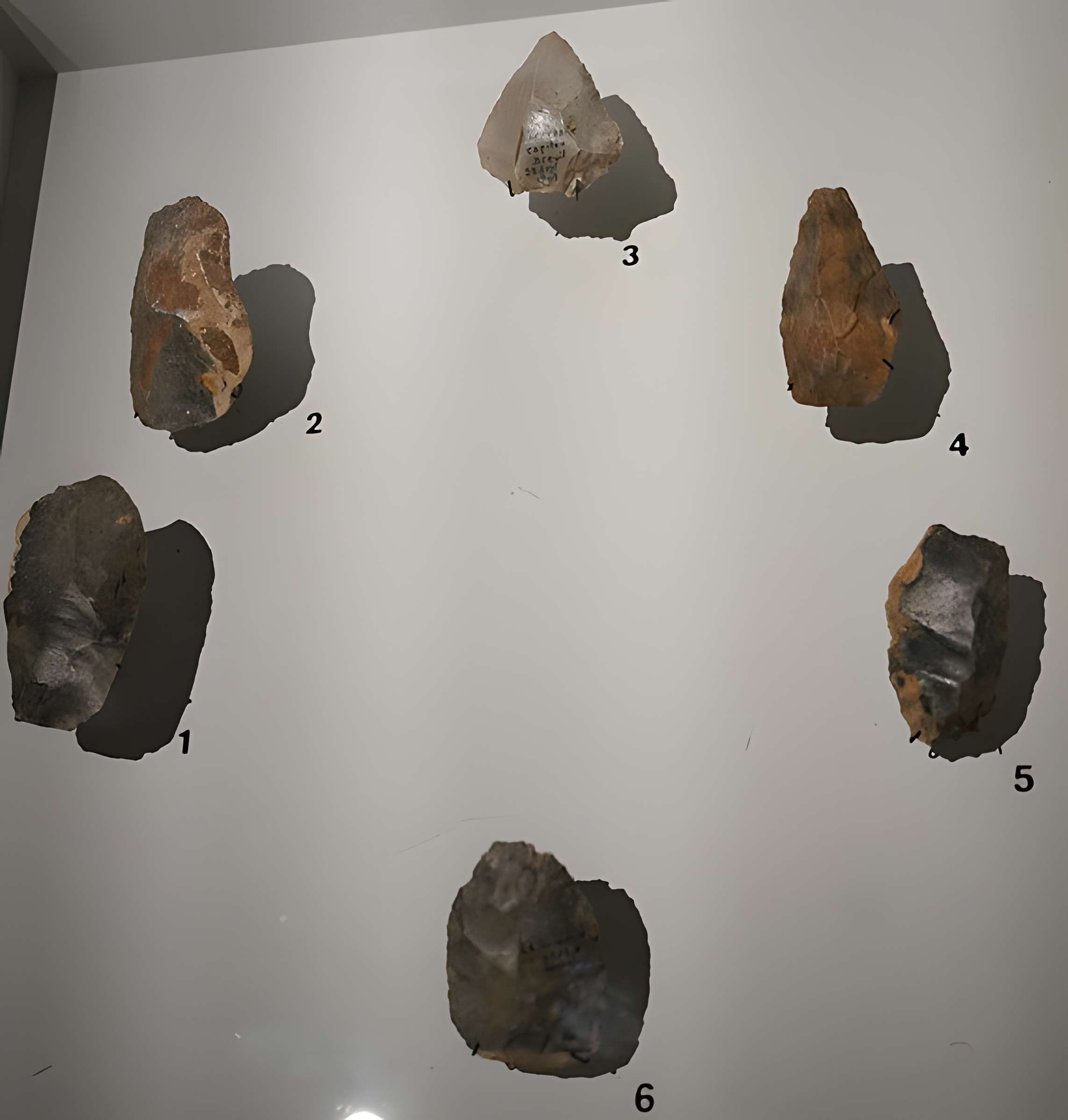 Gisement préhistorique de la Ferrassie à Savignac-de-Miremont