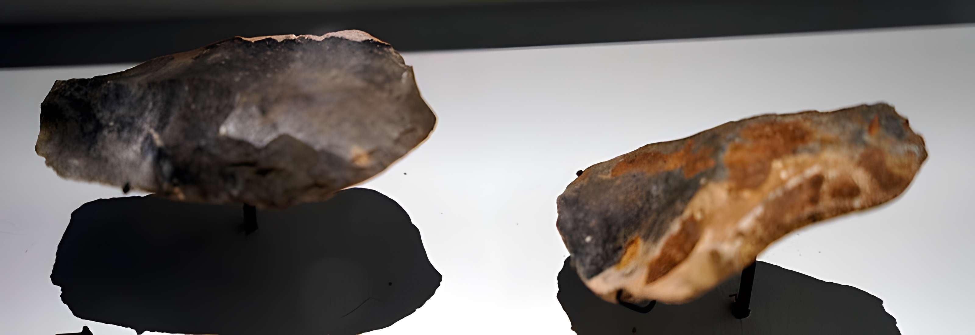 Gisement préhistorique de la Ferrassie à Savignac-de-Miremont