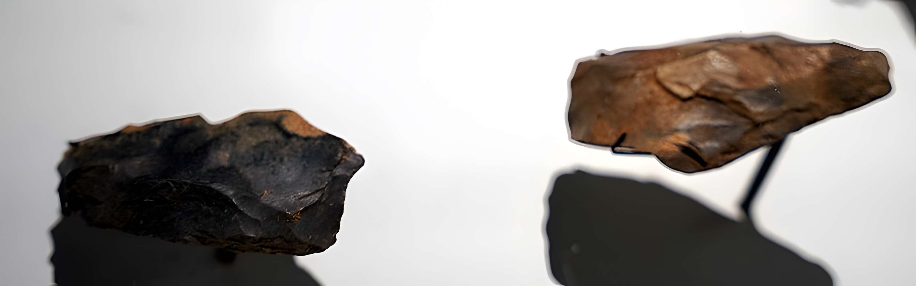 Gisement préhistorique de la Ferrassie à Savignac-de-Miremont