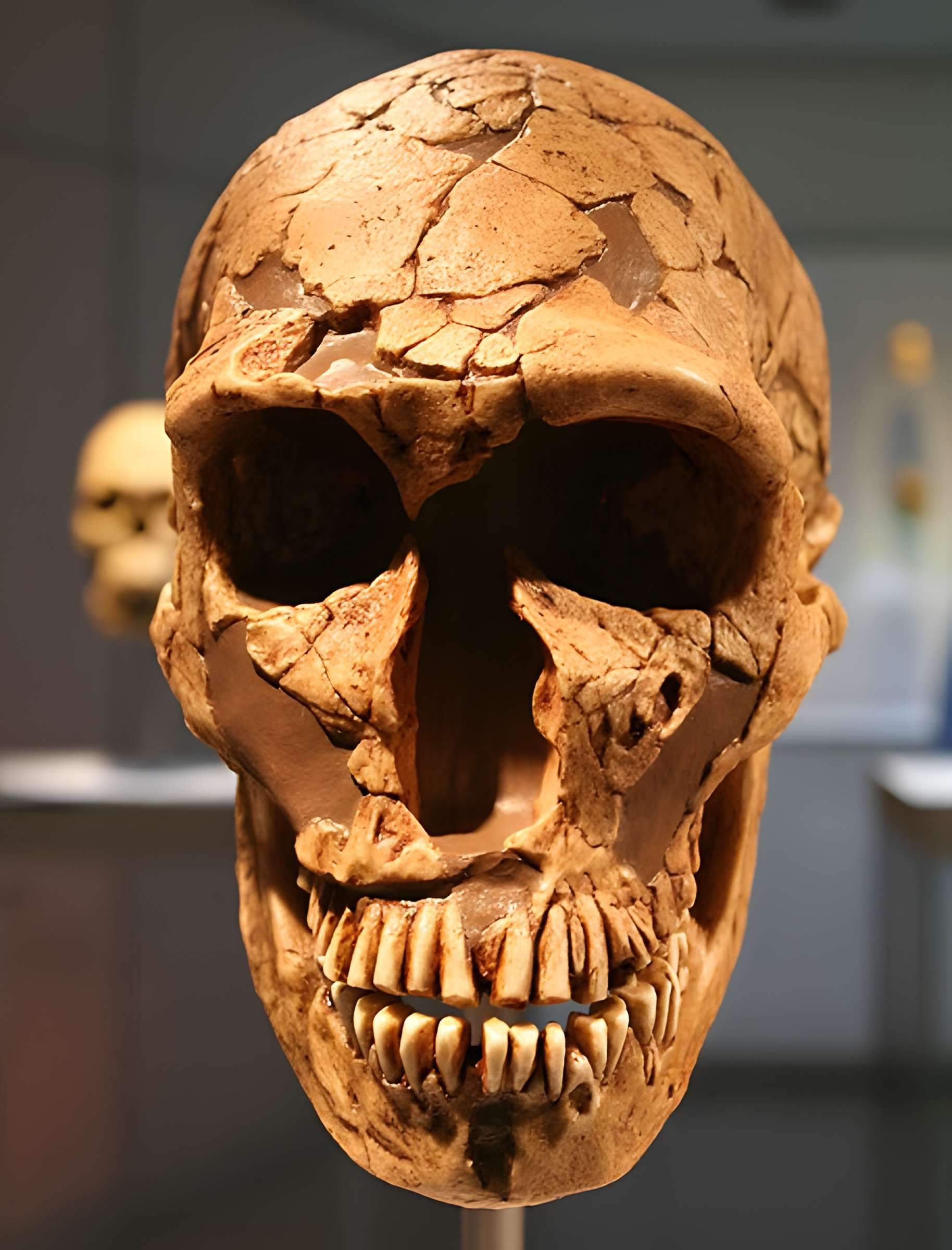 Gisement préhistorique de la Ferrassie à Savignac-de-Miremont