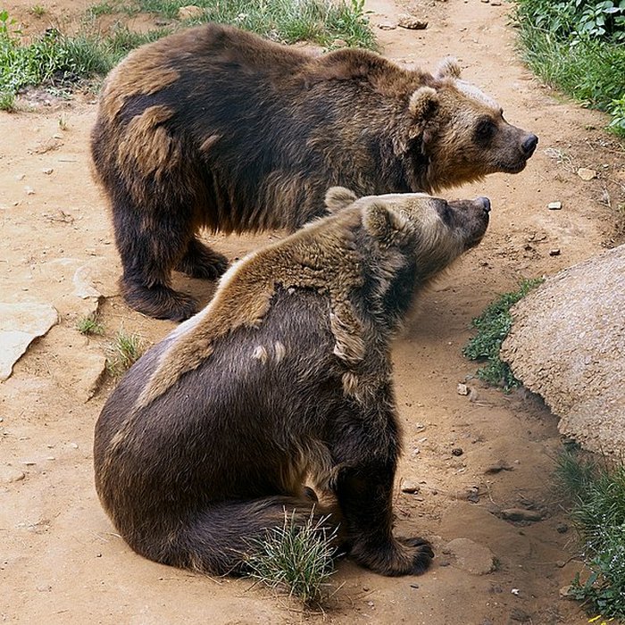 Photo de Gisement préhistorique du Régourdou à Montignac