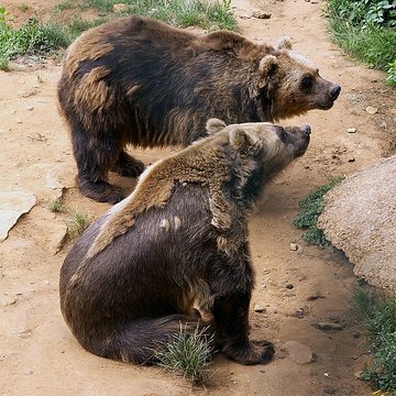 Gisement préhistorique du Régourdou à Montignac