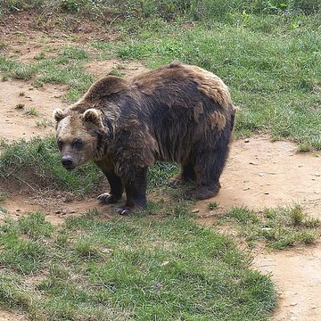 Gisement préhistorique du Régourdou à Montignac