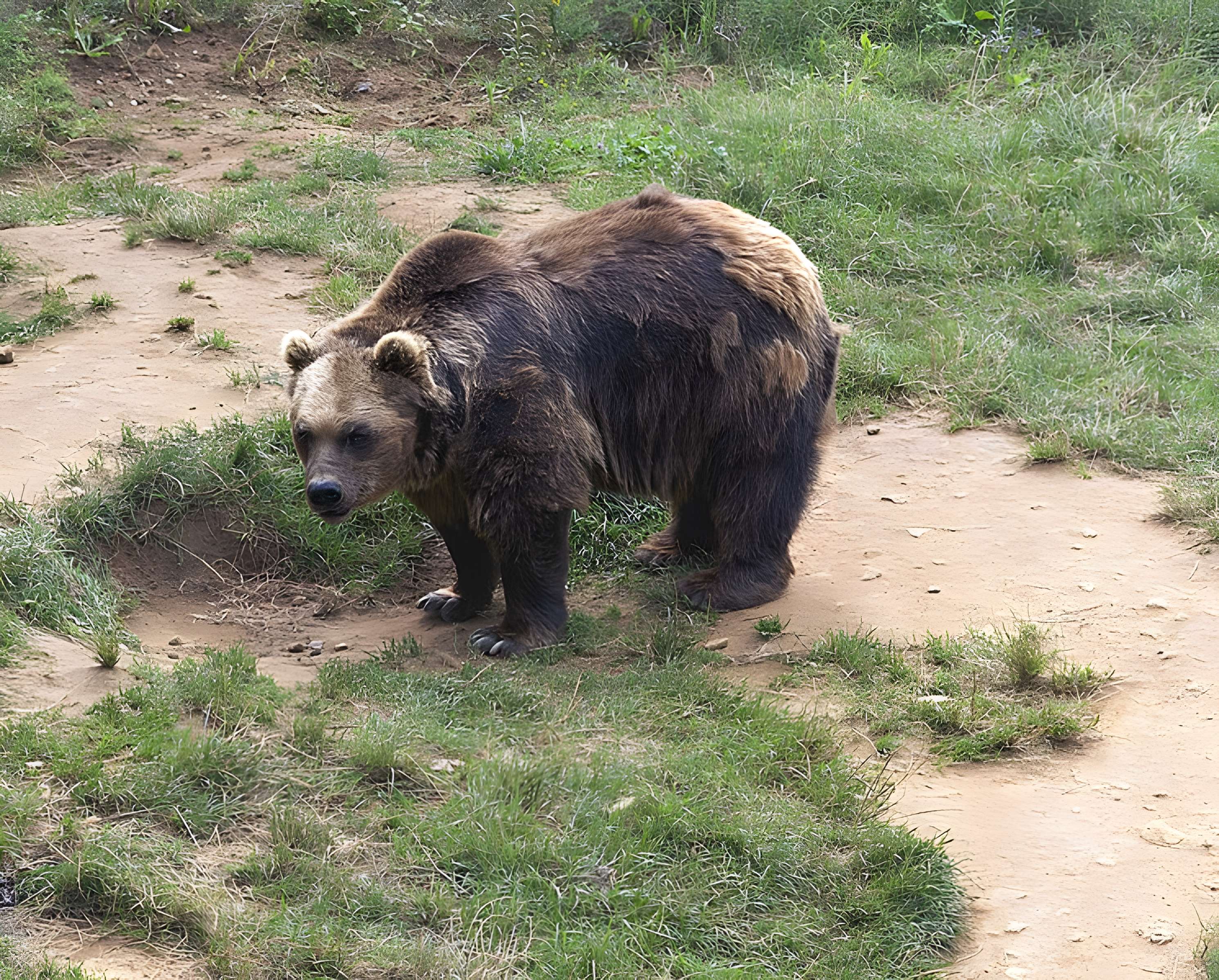 Gisement préhistorique du Régourdou à Montignac