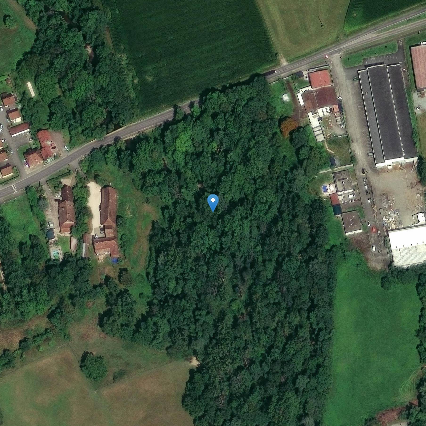 Photo de Motte féodale dite motte de Manspach