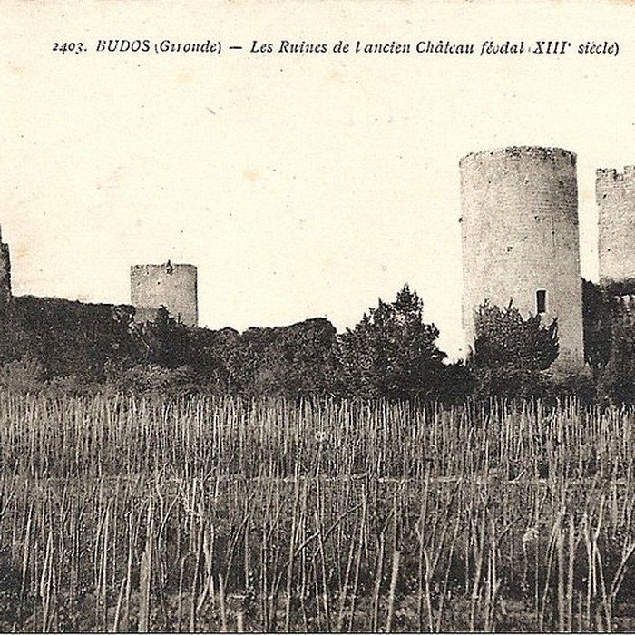 Photo de Château de Budos