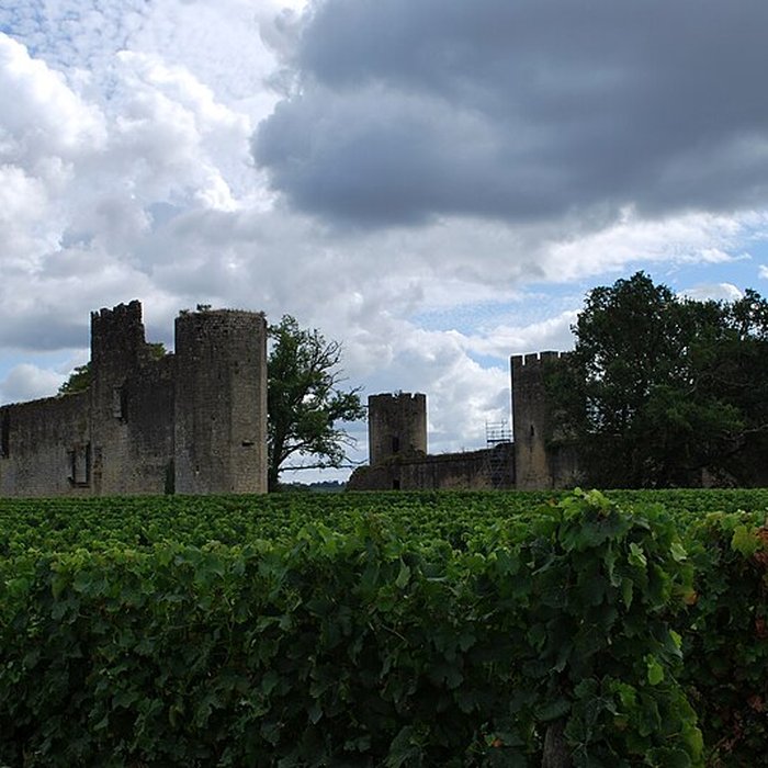Photo de Château de Budos