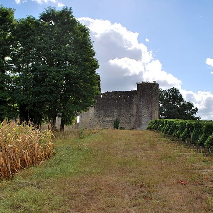 Photo de Château de Budos