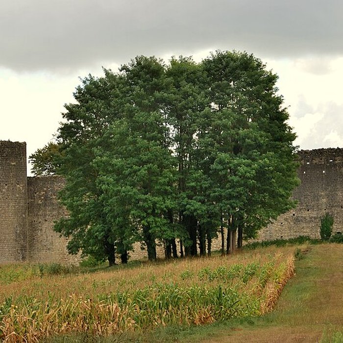 Photo de Château de Budos