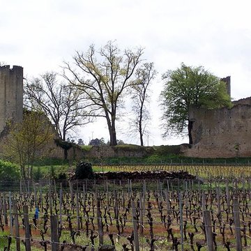 Château de Budos