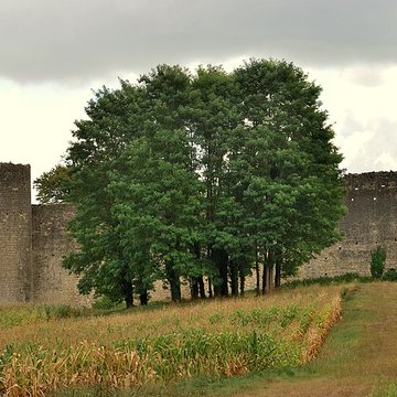 Château de Budos
