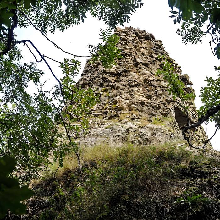 Photo de Ruines du château de Freundstein