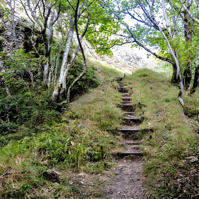 Photo de Ruines du château de Freundstein