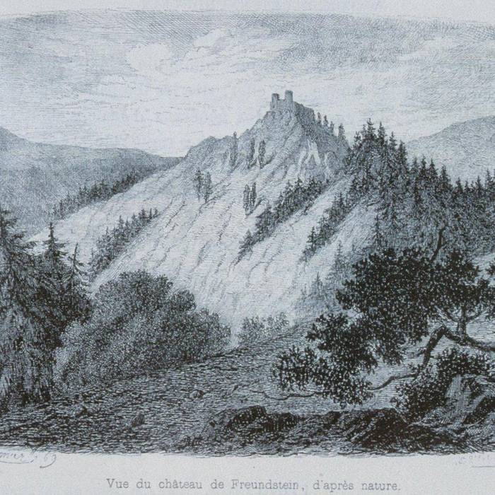 Photo de Ruines du château de Freundstein