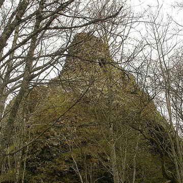 Ruines du château de Freundstein