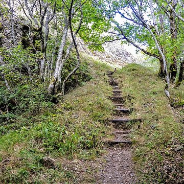 Ruines du château de Freundstein