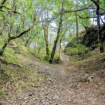 Ruines du château de Freundstein