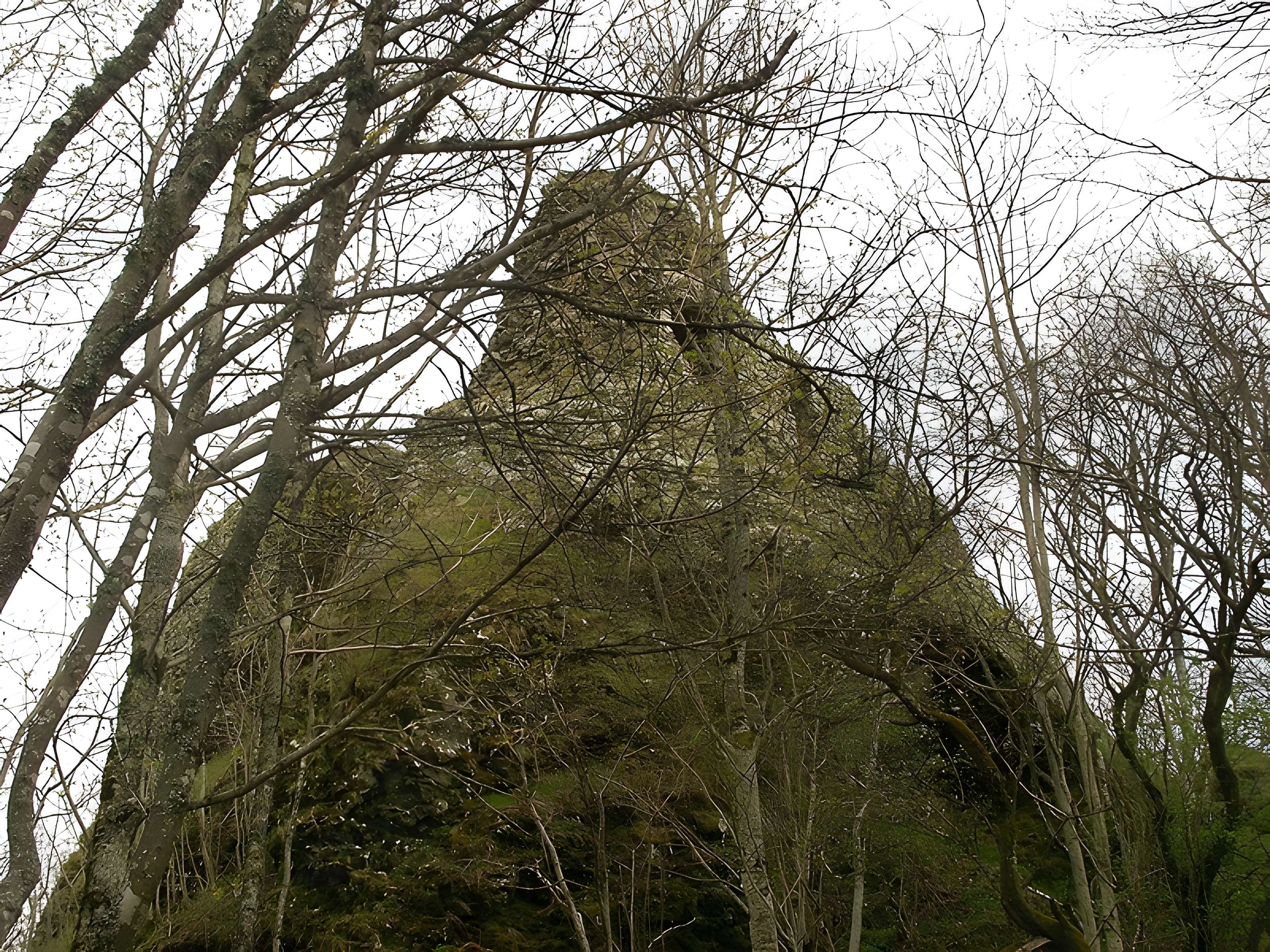 Ruines du château de Freundstein