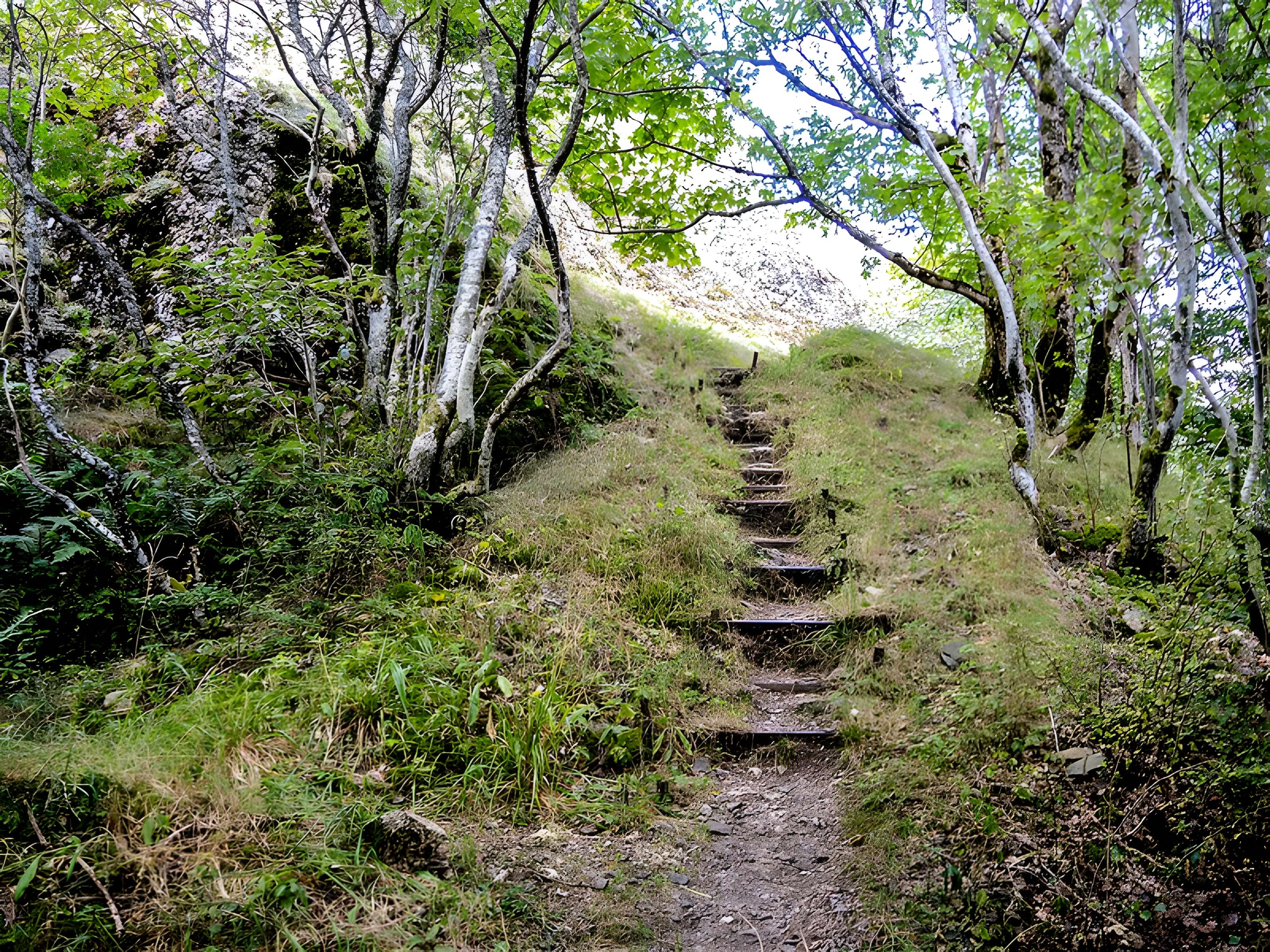 Ruines du château de Freundstein