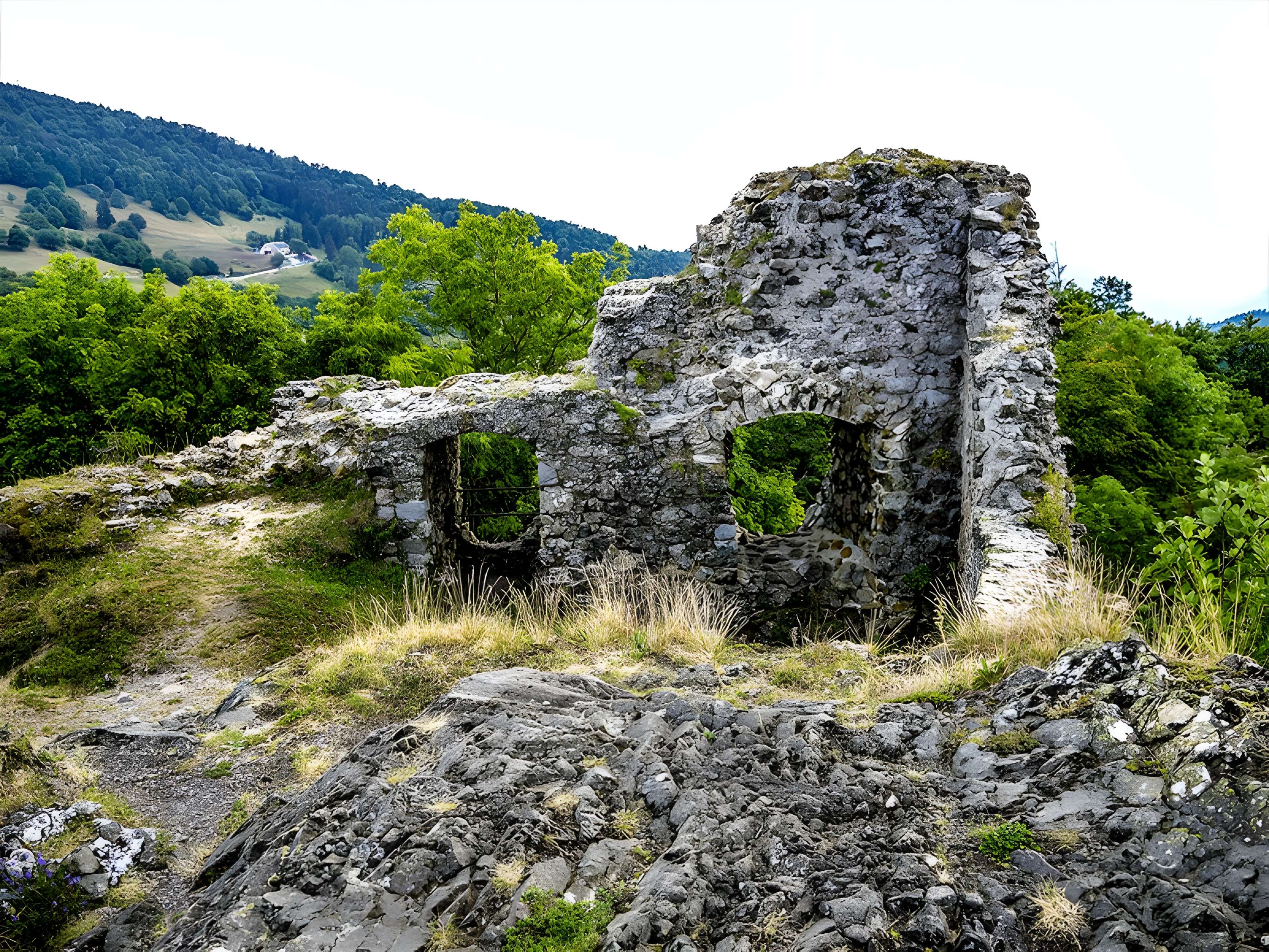Ruines du château de Freundstein