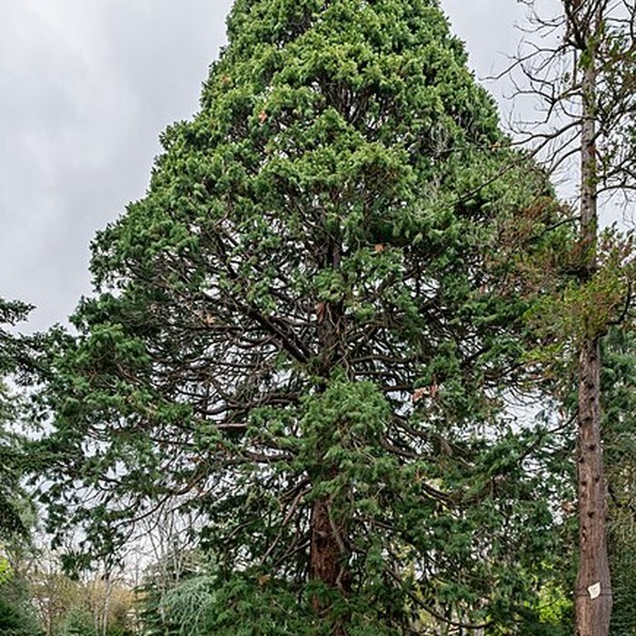 Photo de Parc de la Marseillaise