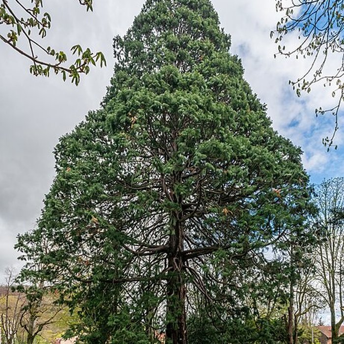 Photo de Parc de la Marseillaise