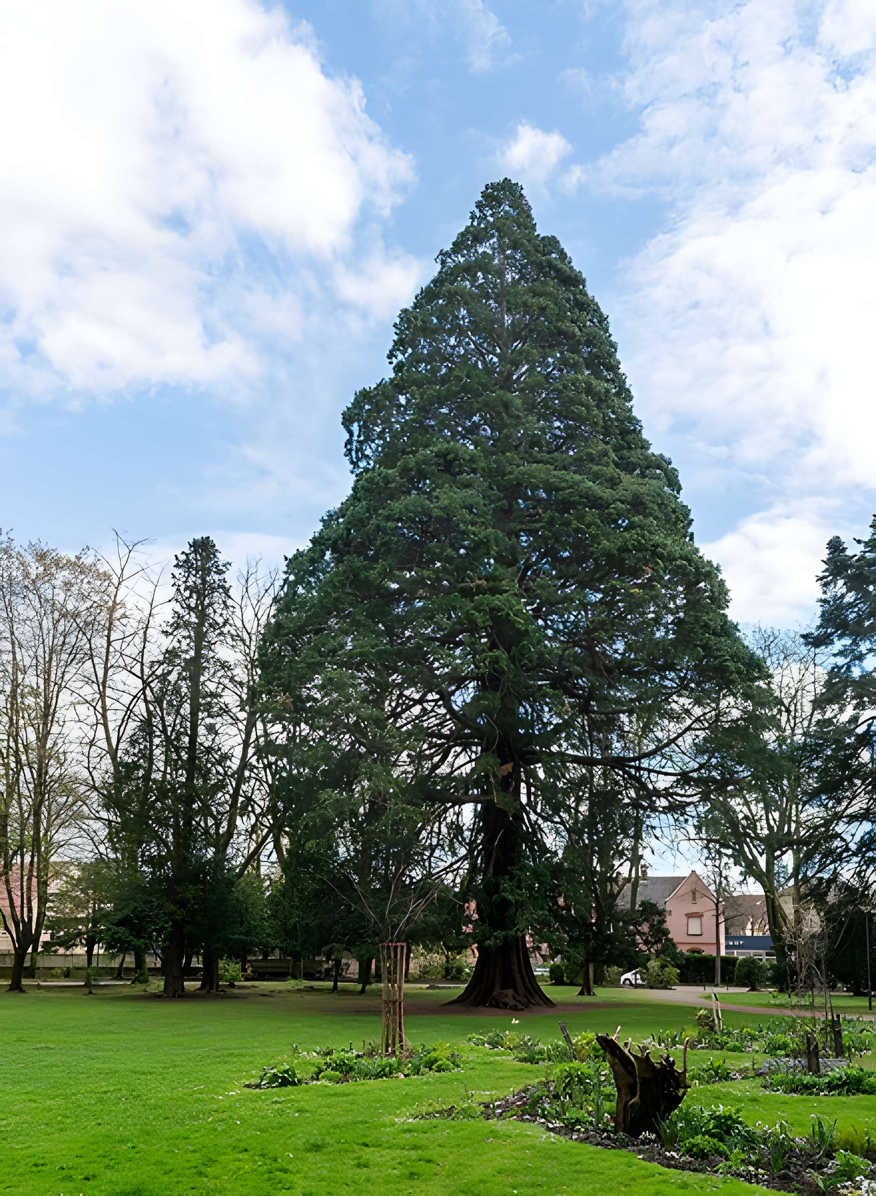 Parc de la Marseillaise