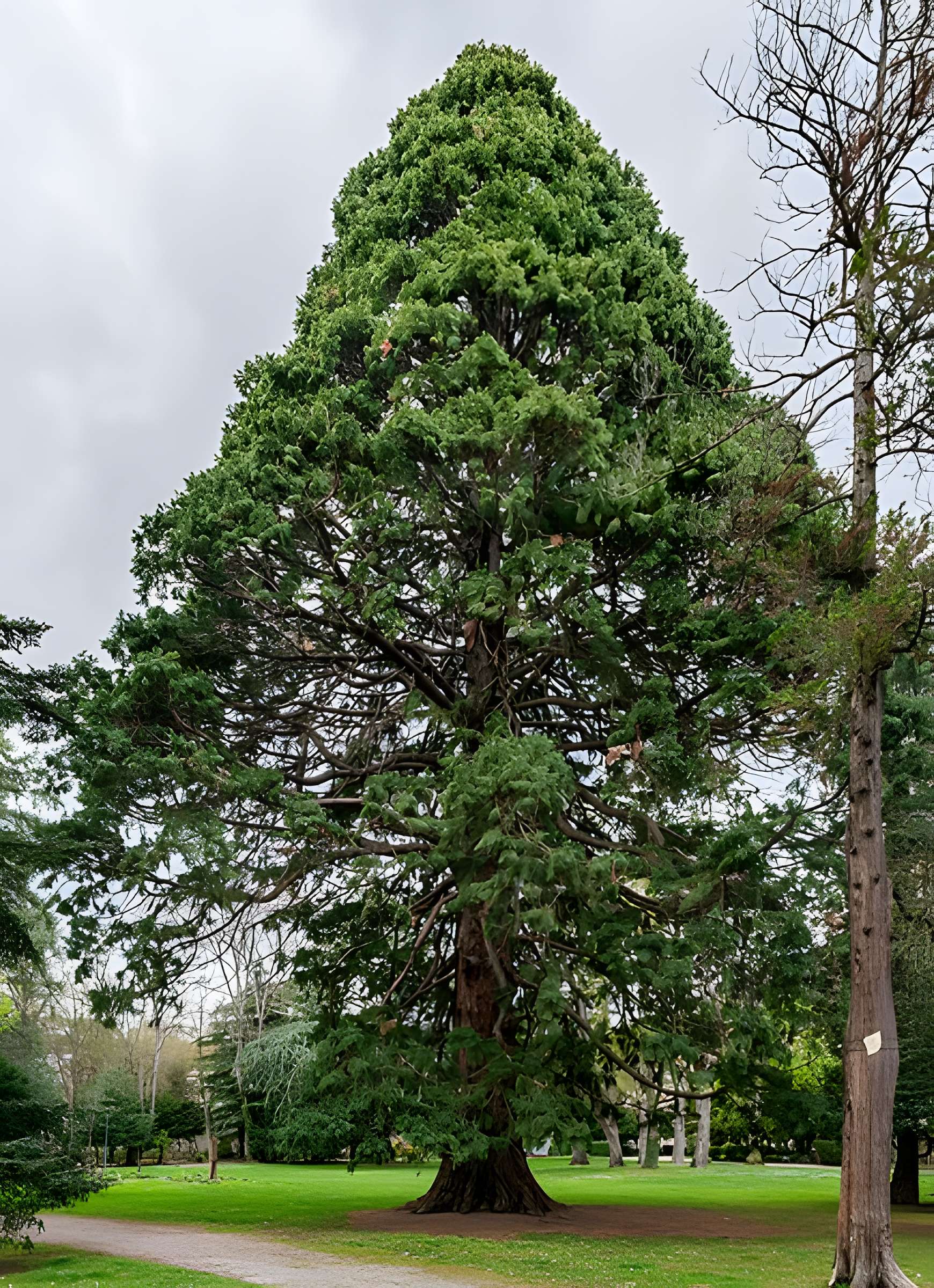 Parc de la Marseillaise