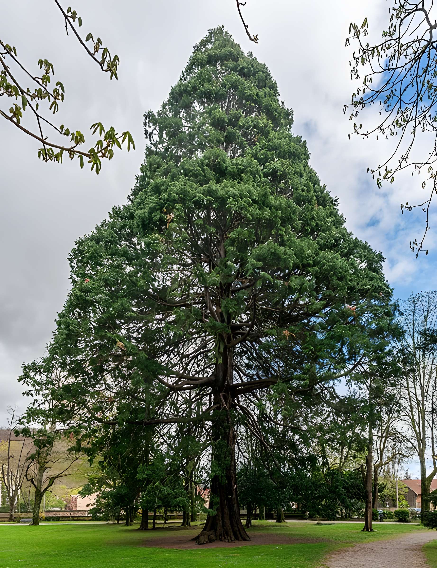 Parc de la Marseillaise
