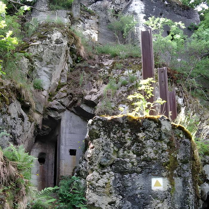Photo de Champ de bataille de lHartmannswillerkopf dans la forêt communale également sur communes de Hartmannswiller, Soultz-Haut-Rhin, Wattwiller et Wuenheim