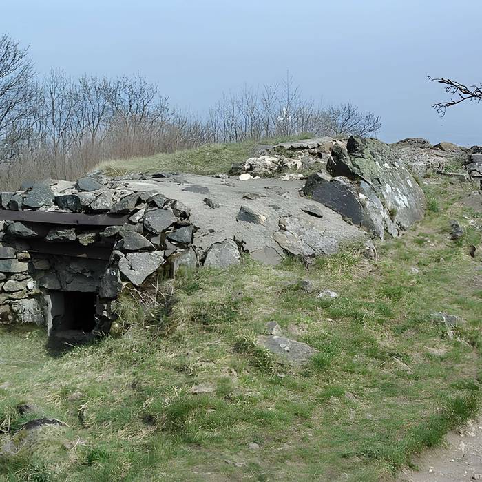 Photo de Champ de bataille de lHartmannswillerkopf dans la forêt communale également sur communes de Hartmannswiller, Soultz-Haut-Rhin, Wattwiller et Wuenheim