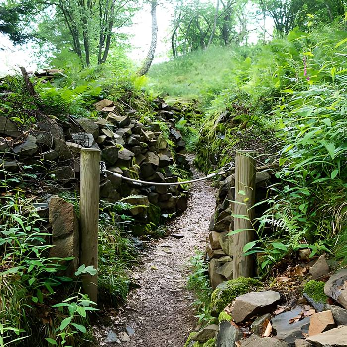 Photo de Champ de bataille de lHartmannswillerkopf dans la forêt communale également sur communes de Hartmannswiller, Soultz-Haut-Rhin, Wattwiller et Wuenheim