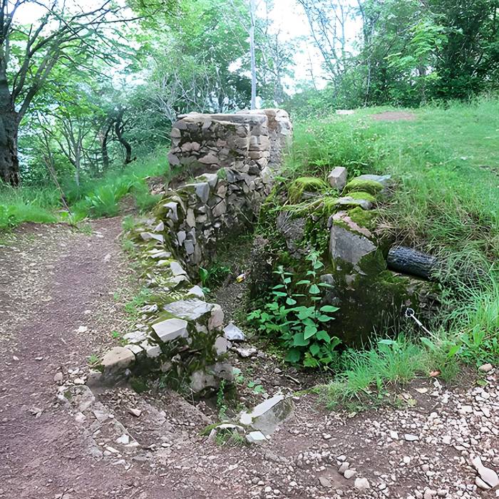 Photo de Champ de bataille de lHartmannswillerkopf dans la forêt communale également sur communes de Hartmannswiller, Soultz-Haut-Rhin, Wattwiller et Wuenheim