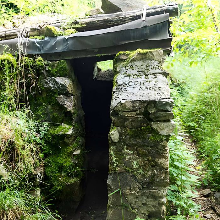 Photo de Champ de bataille de lHartmannswillerkopf dans la forêt communale également sur communes de Hartmannswiller, Soultz-Haut-Rhin, Wattwiller et Wuenheim