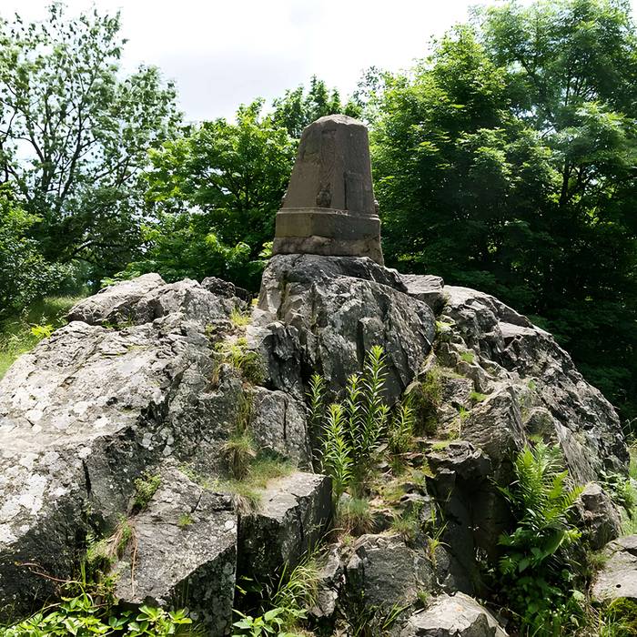 Photo de Champ de bataille de lHartmannswillerkopf dans la forêt communale également sur communes de Hartmannswiller, Soultz-Haut-Rhin, Wattwiller et Wuenheim