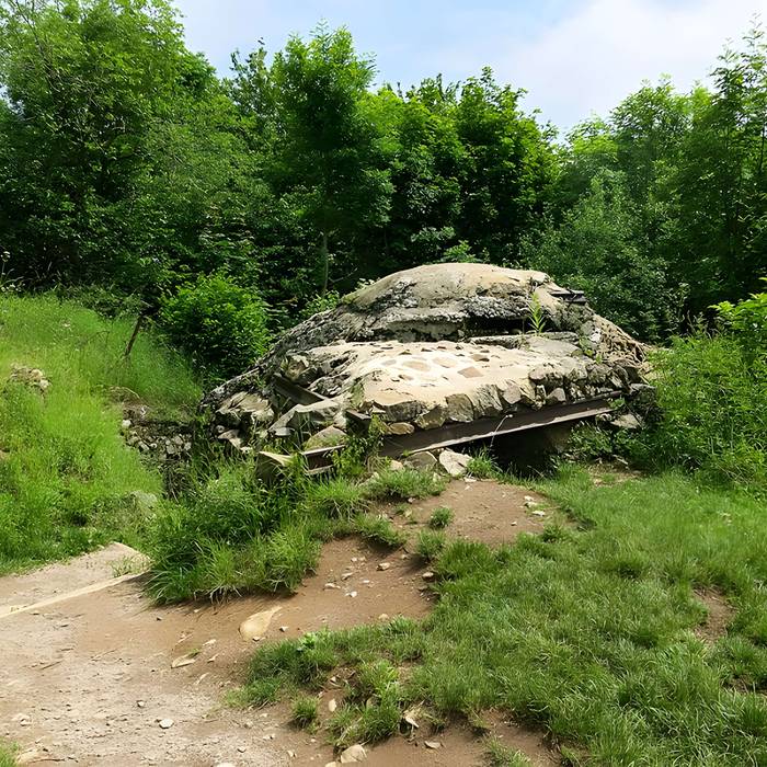 Photo de Champ de bataille de lHartmannswillerkopf dans la forêt communale également sur communes de Hartmannswiller, Soultz-Haut-Rhin, Wattwiller et Wuenheim