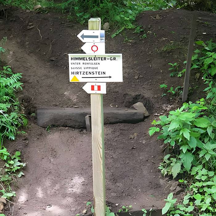 Photo de Champ de bataille de lHartmannswillerkopf dans la forêt communale également sur communes de Hartmannswiller, Soultz-Haut-Rhin, Wattwiller et Wuenheim
