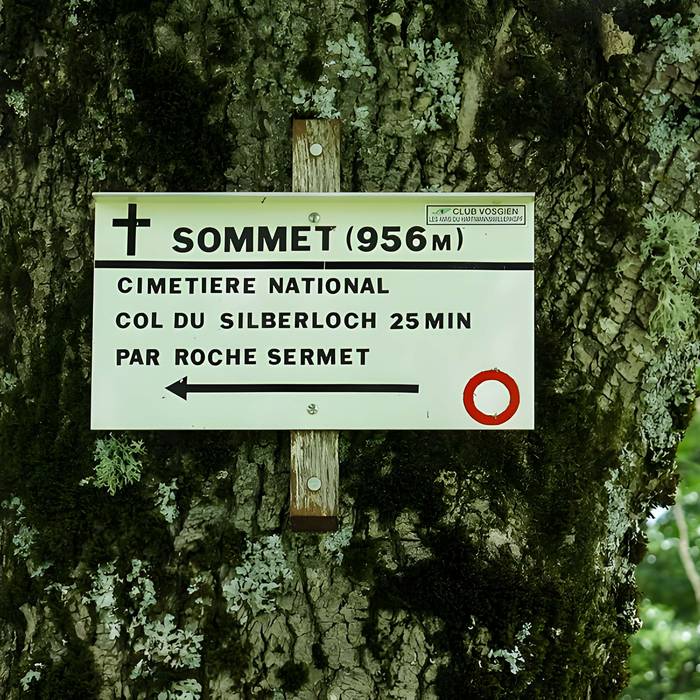 Photo de Champ de bataille de lHartmannswillerkopf dans la forêt communale également sur communes de Hartmannswiller, Soultz-Haut-Rhin, Wattwiller et Wuenheim