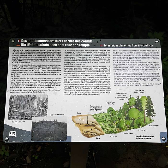 Photo de Champ de bataille de lHartmannswillerkopf dans la forêt communale également sur communes de Hartmannswiller, Soultz-Haut-Rhin, Wattwiller et Wuenheim