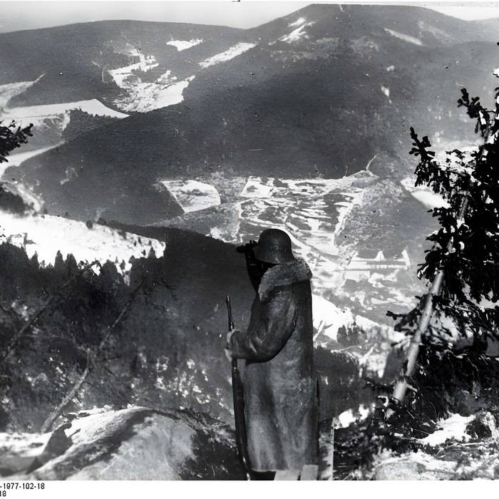 Photo de Champ de bataille de lHartmannswillerkopf dans la forêt communale également sur communes de Hartmannswiller, Soultz-Haut-Rhin, Wattwiller et Wuenheim