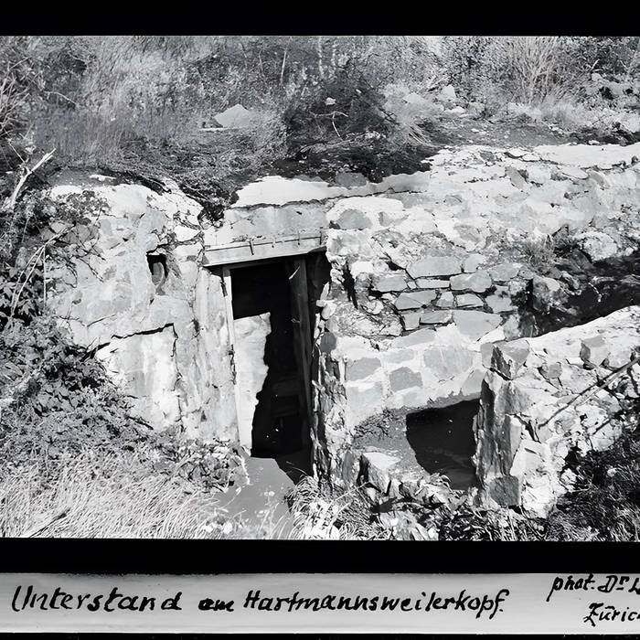 Photo de Champ de bataille de lHartmannswillerkopf dans la forêt communale également sur communes de Hartmannswiller, Soultz-Haut-Rhin, Wattwiller et Wuenheim