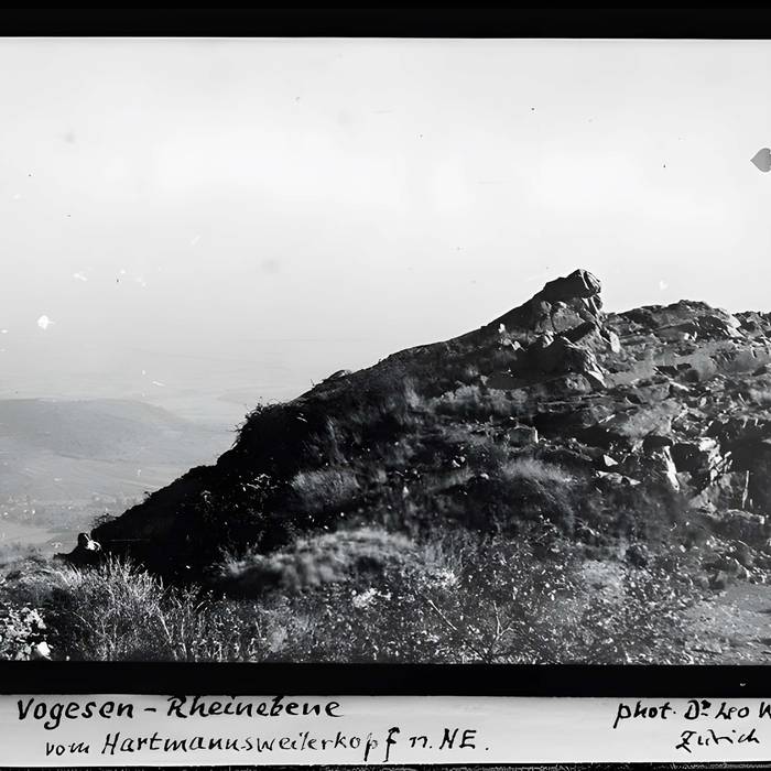 Photo de Champ de bataille de lHartmannswillerkopf dans la forêt communale également sur communes de Hartmannswiller, Soultz-Haut-Rhin, Wattwiller et Wuenheim