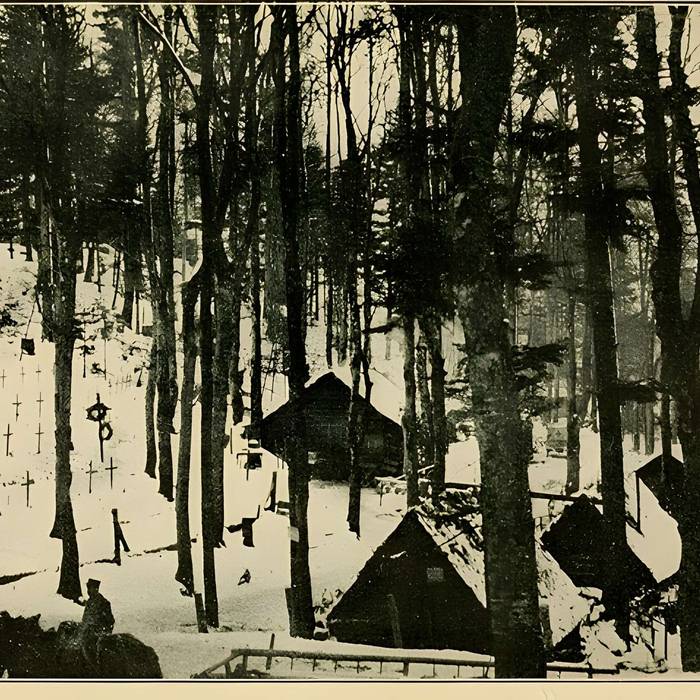 Photo de Champ de bataille de lHartmannswillerkopf dans la forêt communale également sur communes de Hartmannswiller, Soultz-Haut-Rhin, Wattwiller et Wuenheim