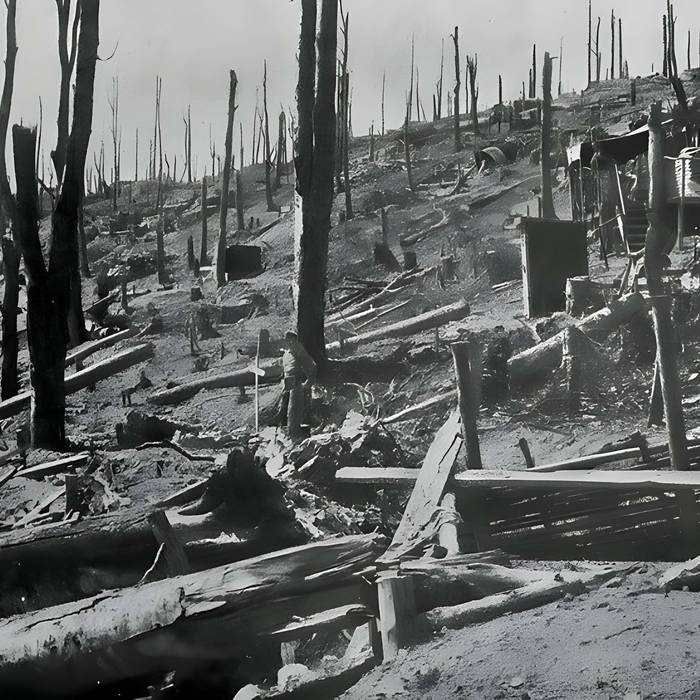 Photo de Champ de bataille de lHartmannswillerkopf dans la forêt communale également sur communes de Hartmannswiller, Soultz-Haut-Rhin, Wattwiller et Wuenheim