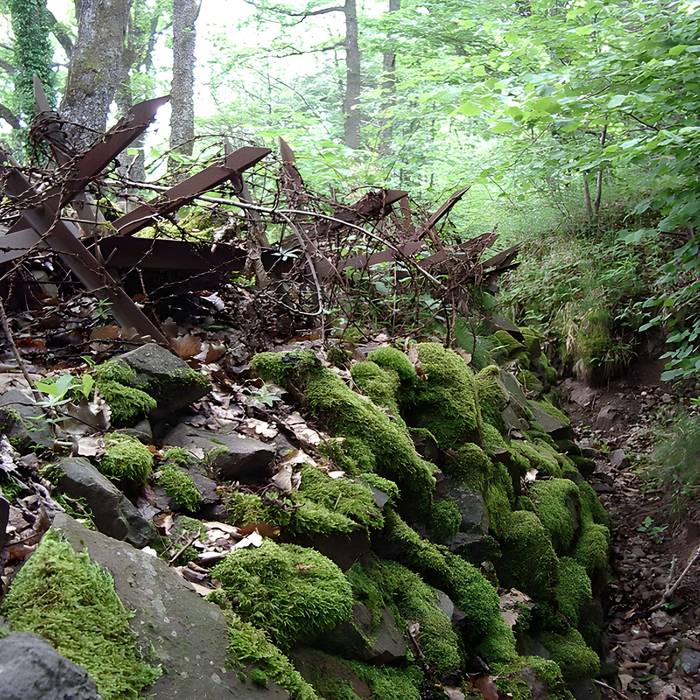 Photo de Champ de bataille de lHartmannswillerkopf dans la forêt communale également sur communes de Hartmannswiller, Soultz-Haut-Rhin, Wattwiller et Wuenheim