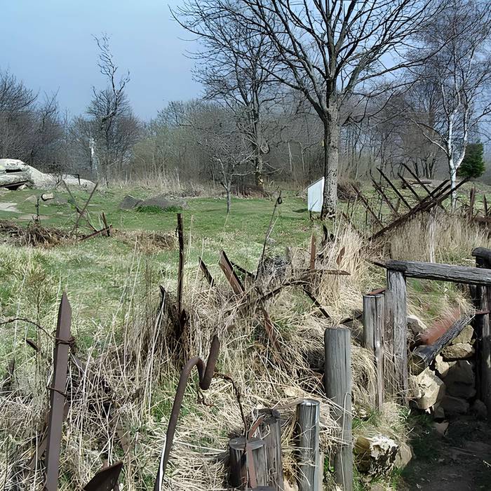 Photo de Champ de bataille de lHartmannswillerkopf dans la forêt communale également sur communes de Hartmannswiller, Soultz-Haut-Rhin, Wattwiller et Wuenheim