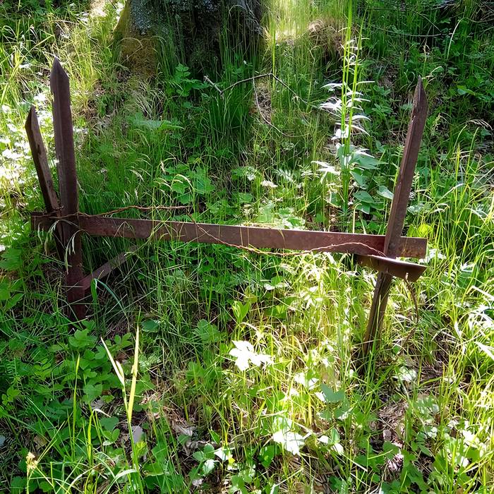 Photo de Champ de bataille de lHartmannswillerkopf dans la forêt communale également sur communes de Hartmannswiller, Soultz-Haut-Rhin, Wattwiller et Wuenheim