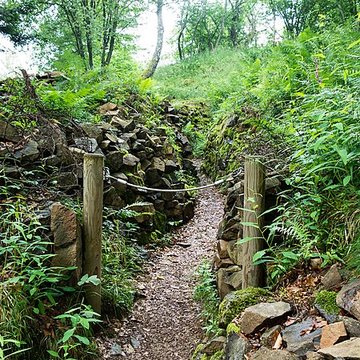 Champ de bataille de lHartmannswillerkopf dans la forêt communale
