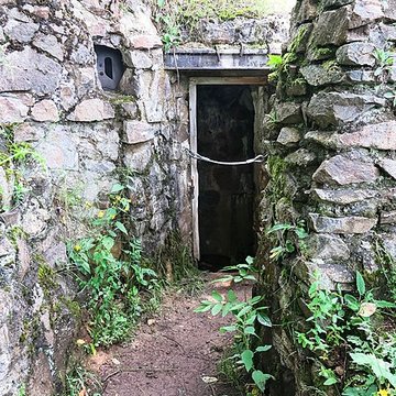 Champ de bataille de lHartmannswillerkopf dans la forêt communale