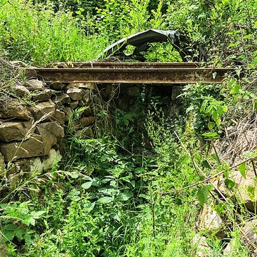 Champ de bataille de lHartmannswillerkopf dans la forêt communale